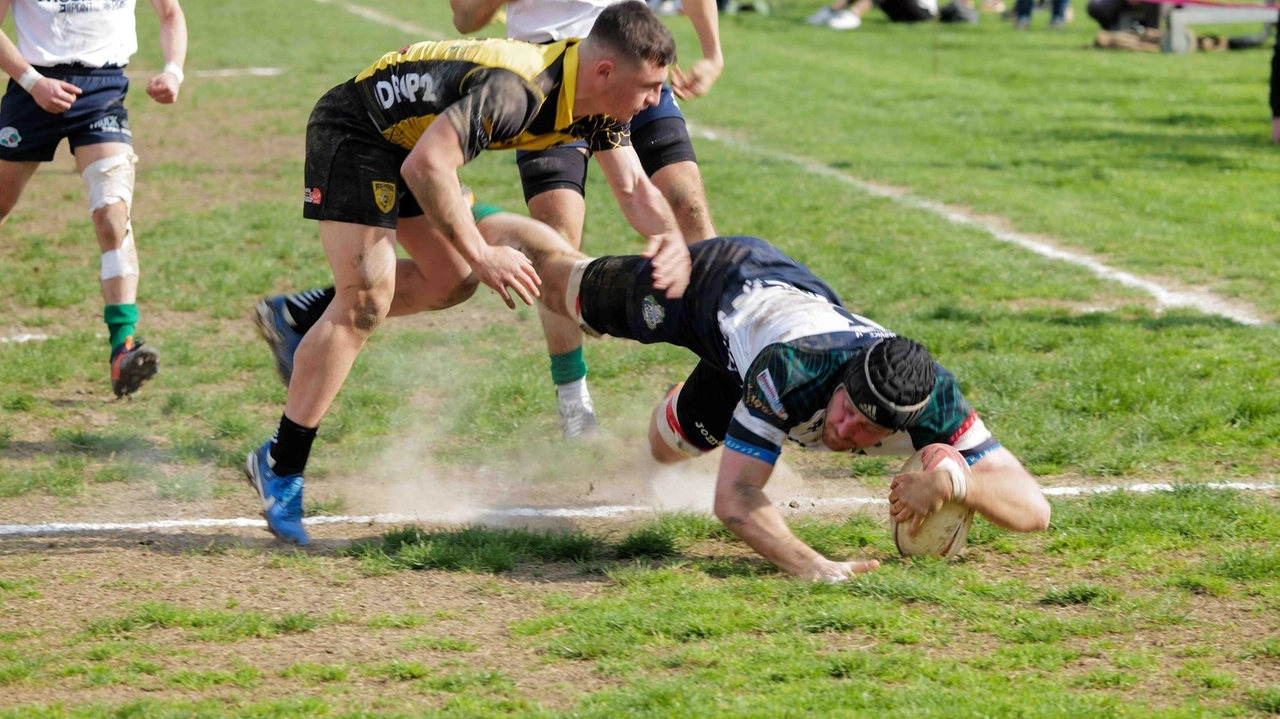 Un momento dello scorso match fra Gispi Tigers ed Olbia