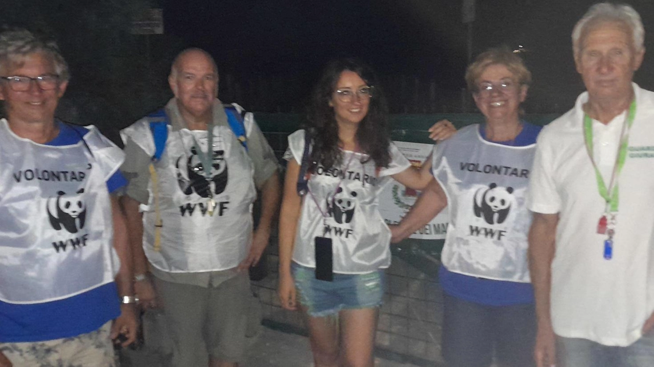 I volontari del Wwf durante il presidio notturno alle dune di Vittoria Apuana allo scopo di evitare incursioni e atti di vandalismo I volontari del Wwf durante il presidio notturno alle dune di Vittoria Apuana allo scopo di evitare incursioni e atti di vandalismo