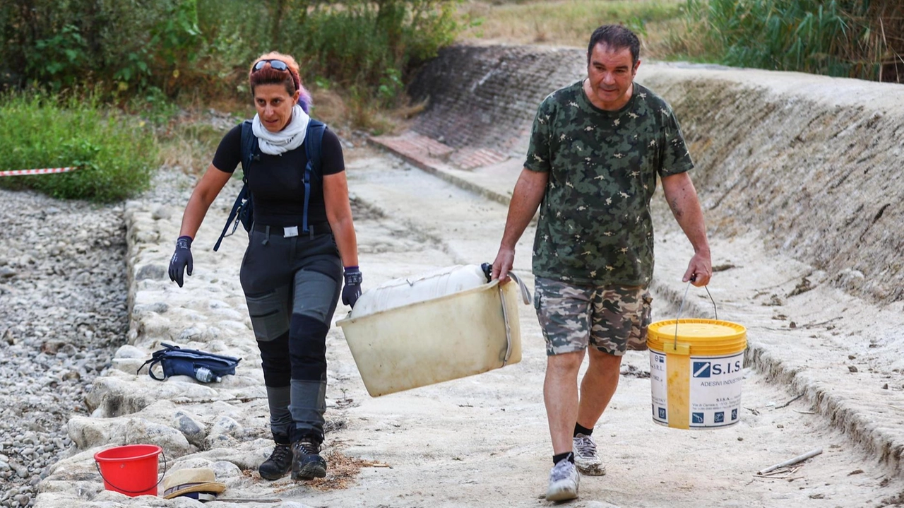 I volontari si sono organizzati in squadre e sono entrati in azione alle 6 del mattino (Gasperini/ FotoGermogli) I volontari si sono organizzati in squadre e sono entrati in azione alle 6 del mattino (Gasperini/ FotoGermogli)