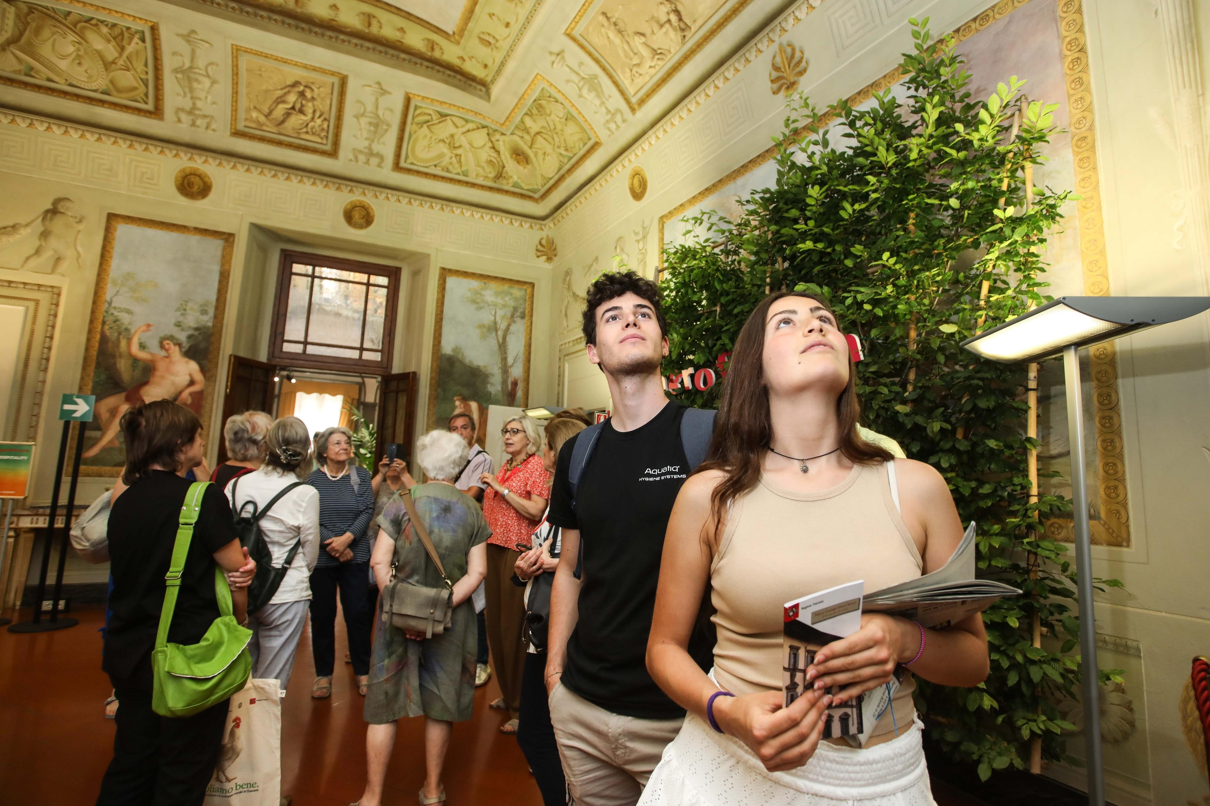 la bellezza tra arte e tradizione visite guidate e laboratori