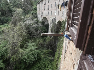 immagine articolo