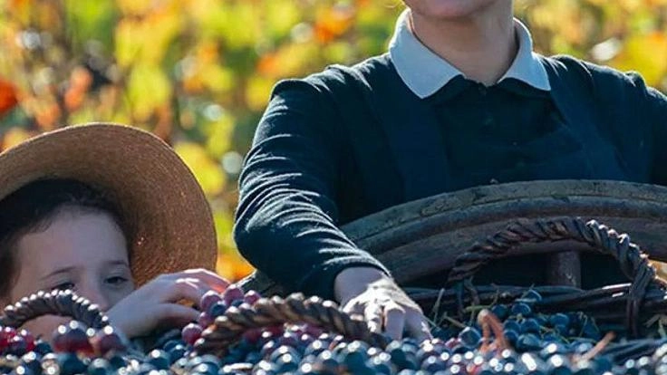 Haley Bennett è la protagonista di Madame Clicquot in programmazione al cinema Eden: un’interpretazione da applausi per la giovane attrice Haley Bennett è la protagonista di Madame Clicquot in programmazione al cinema Eden: un’interpretazione da applausi per la giovane attrice