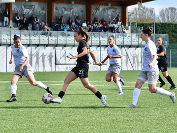 immagine articolo