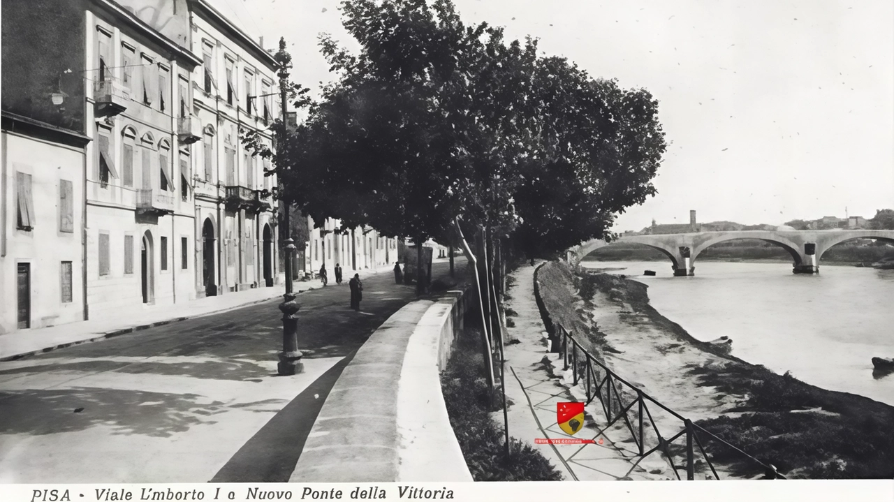 Quattrocento le firme raccolte a favore da un comitato spontaneo nato dai residenti. Gli alberi si trovavano lì i primi anni del ’900. Il regio decreto del 1904, però, li ha vietati . .