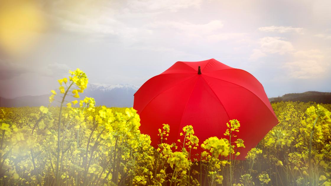Meteo: maggio instabile e fresco, ecco quando arriva il vero caldo in Toscana Meteo: maggio instabile e fresco, ecco quando arriva il vero caldo in Toscana