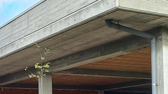 Il cantiere in abbandono lato sud Il cantiere in abbandono lato sud