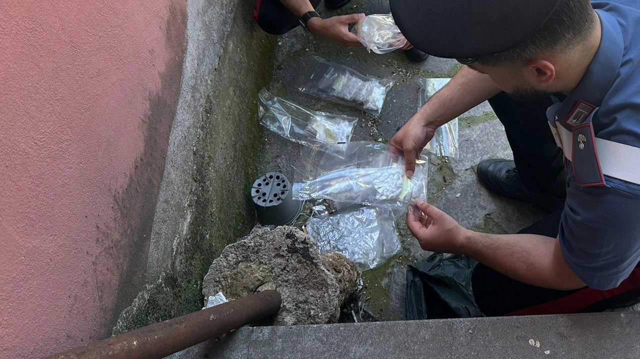 I carabinieri hanno scoperto uno dei nascondigli usati dai pusher per evitare di essere sorpresi con troppa droga addosso I carabinieri hanno scoperto uno dei nascondigli usati dai pusher per evitare di essere sorpresi con troppa droga addosso