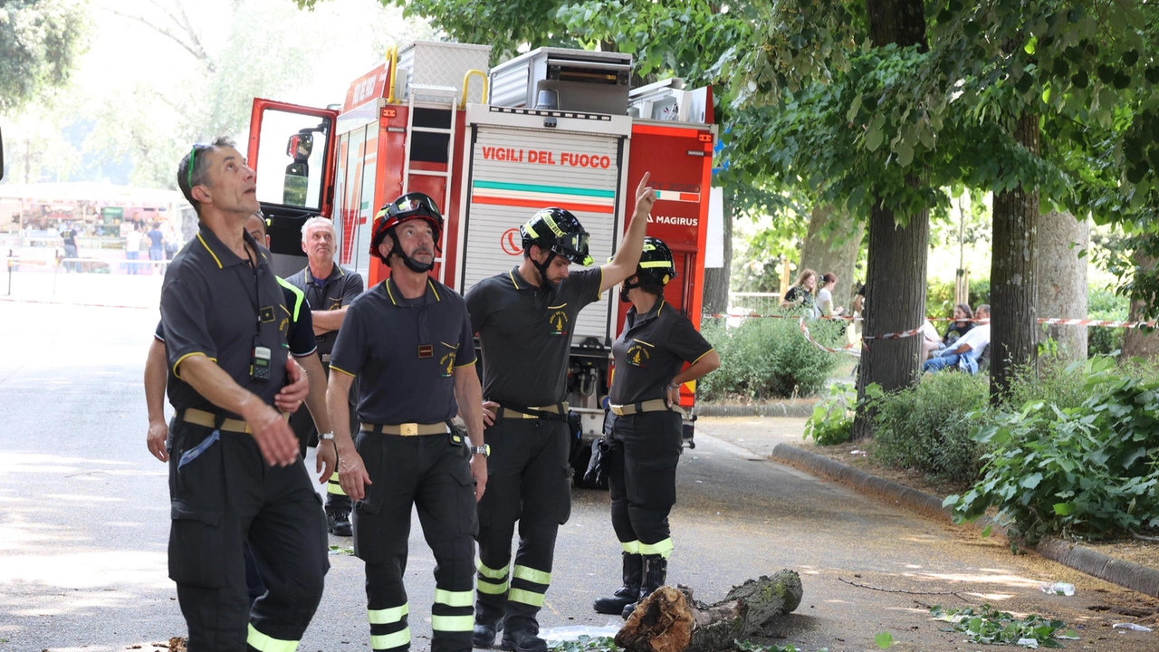 I vigili del fuoco sul luogo del crollo avvenuto intorno alle 14 di giovedì. al parco delle Cascine I vigili del fuoco sul luogo del crollo avvenuto intorno alle 14 di giovedì. al parco delle Cascine