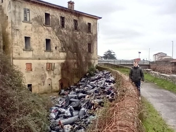 immagine articolo