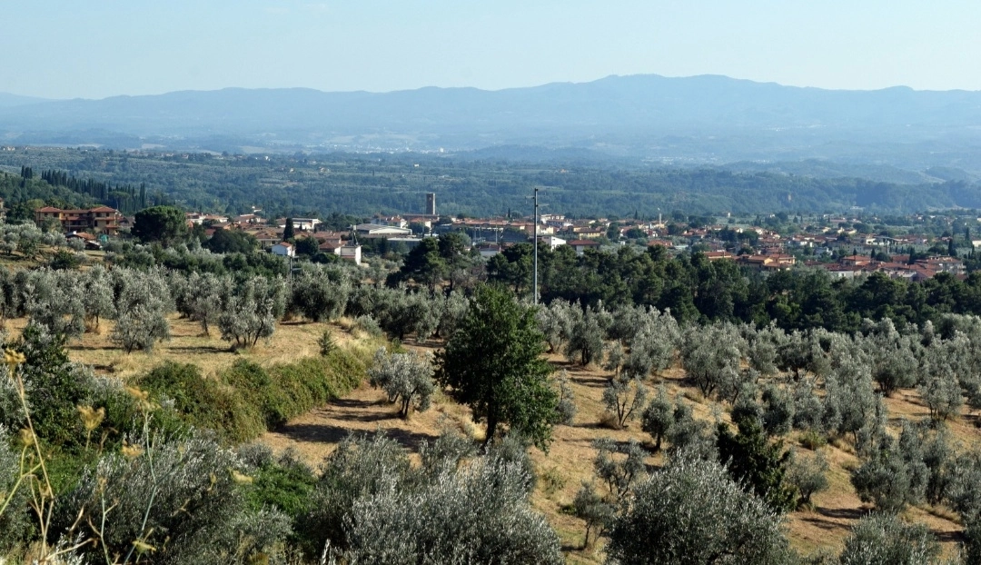 immagine di sfondo 7