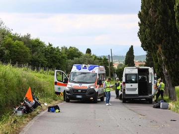 immagine articolo