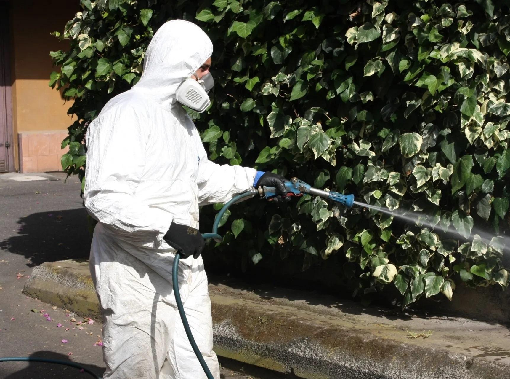 Punto dalla zanzara dei mari del sud . Ricoverato in ospedale dopo un viaggio