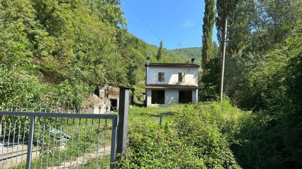L'abitazione nella zona di Arrone nel cui terreno è stato trovato il cadavere di una donna morta da tempo, sepolto nel terreno adiacente (Ansa/ Fabio Ton) L'abitazione nella zona di Arrone nel cui terreno è stato trovato il cadavere di una donna morta da tempo, sepolto nel terreno adiacente (Ansa/ Fabio Ton)