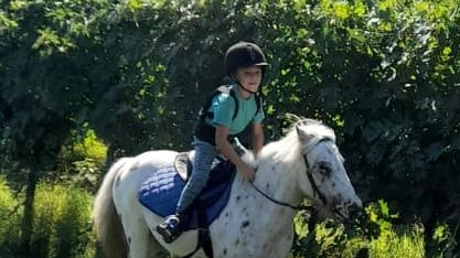 pony pony
