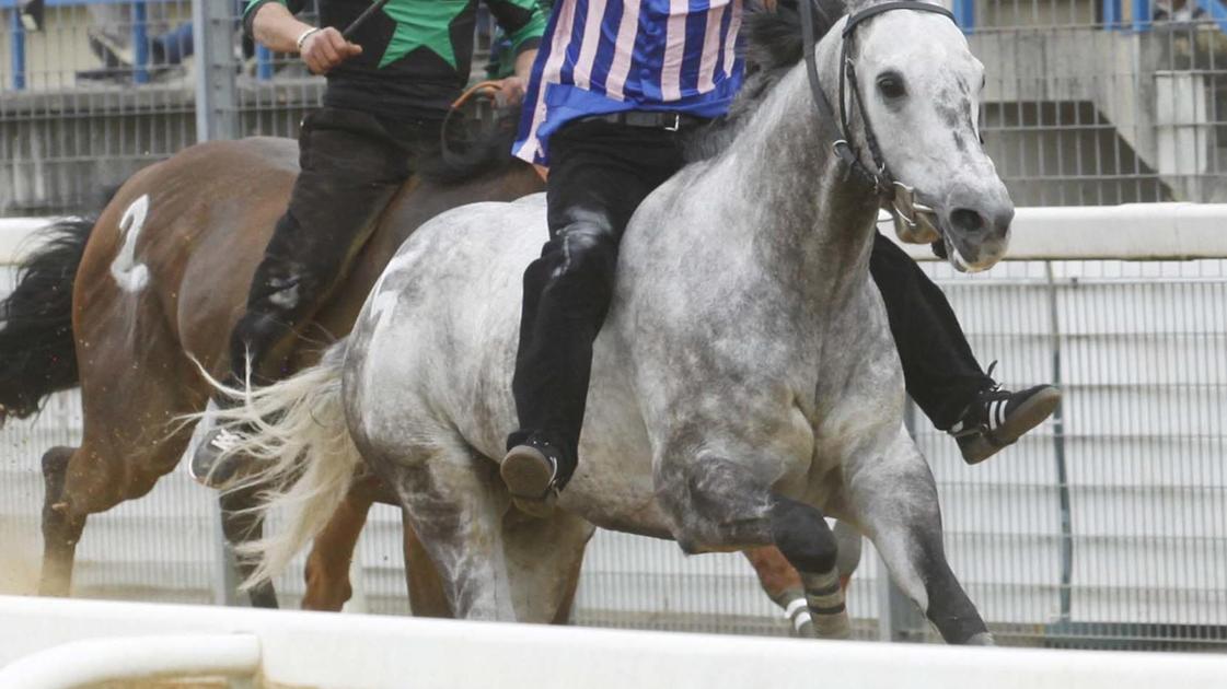 Diamante brilla. Piras: "Potrebbe fare il Palio" Diamante brilla. Piras: "Potrebbe fare il Palio"