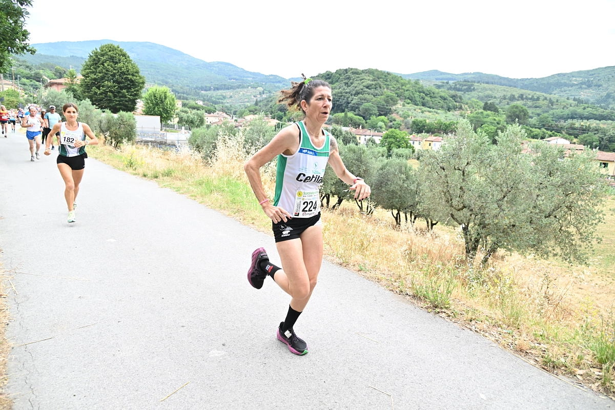 immagine di sfondo 33