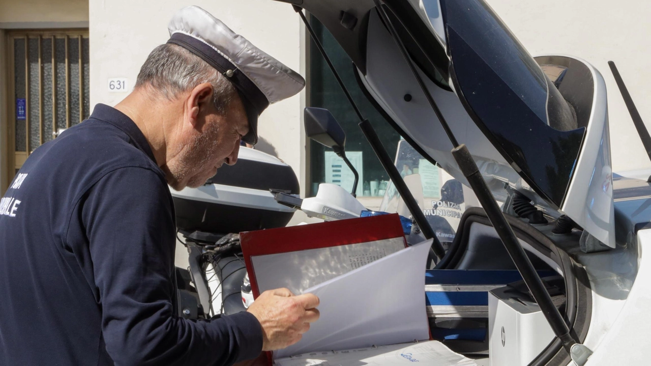 Nel giugno scorso i vigili e gli agenti del commissariato di Sesto avevano. rilevato anche una serie di irregolarità amministrative (Germogli) Nel giugno scorso i vigili e gli agenti del commissariato di Sesto avevano. rilevato anche una serie di irregolarità amministrative (Germogli)