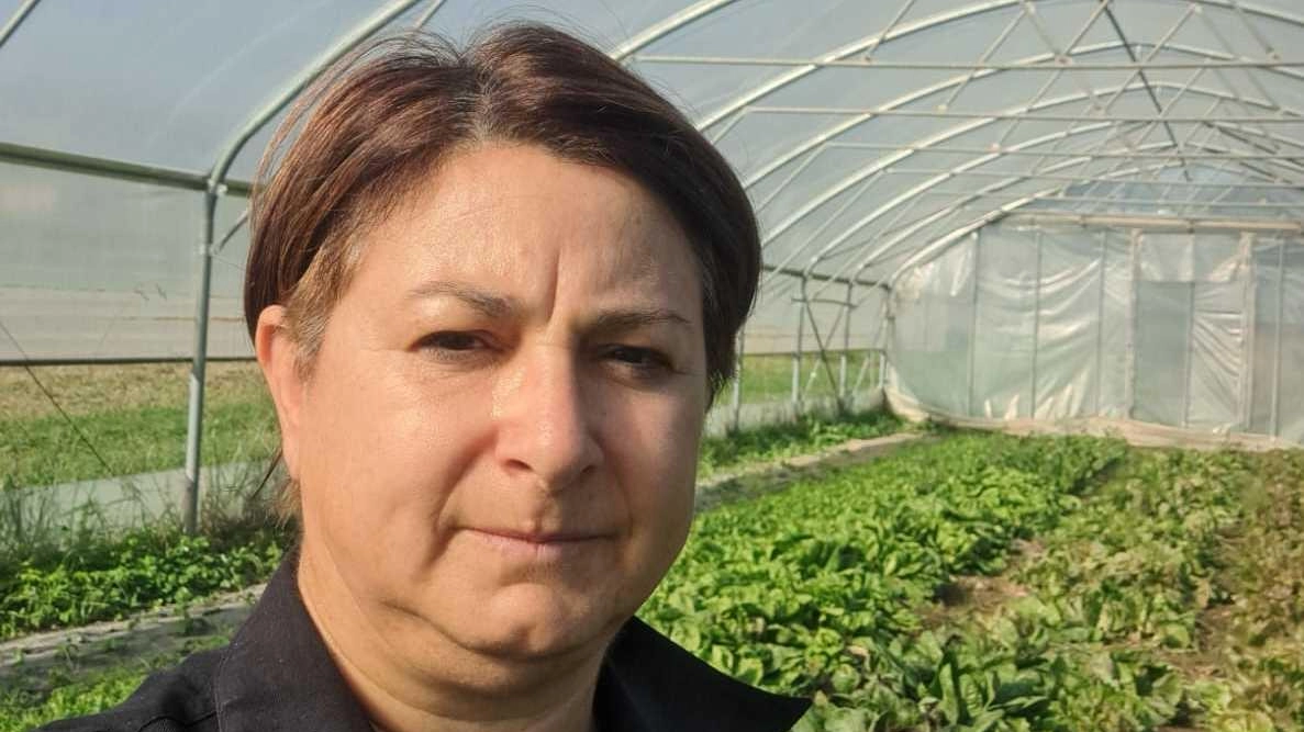 Qua sopra, Barbara Fidanza. A destra, la serra sotto la coltre di acqua e fango Qua sopra, Barbara Fidanza. A destra, la serra sotto la coltre di acqua e fango