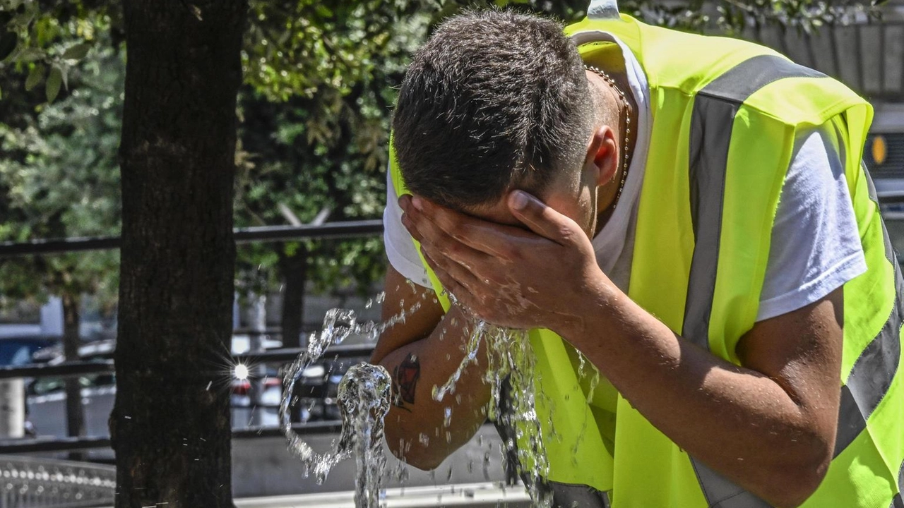 Nuovo rapporto e linee guida per proteggere i lavoratori Nuovo rapporto e linee guida per proteggere i lavoratori
