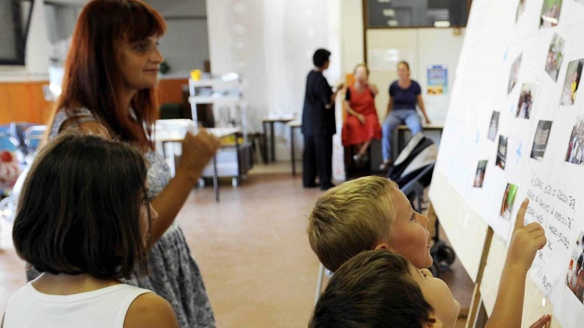 Anche per l’estate 2025 un’ampia offerta di centri estivi distribuiti su tutto il territorio comunale, comprese le frazioni. Le iniziative,...