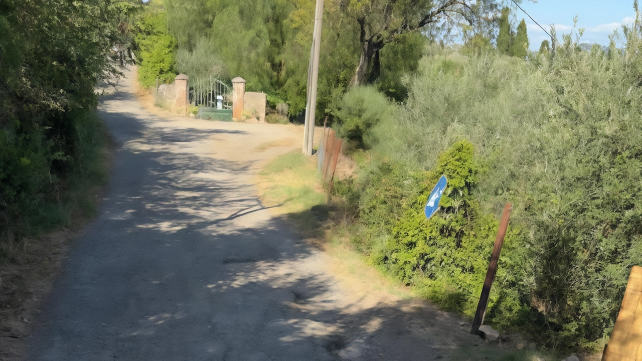 "Un chilometro e mezzo di strada trafficata da mezzi agricoli che può essere rappresentata in termini lunari come una serie... "Un chilometro e mezzo di strada trafficata da mezzi agricoli che può essere rappresentata in termini lunari come una serie...