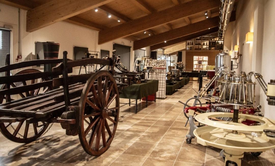 Valdichiana, il vino si racconta in un museo Valdichiana, il vino si racconta in un museo