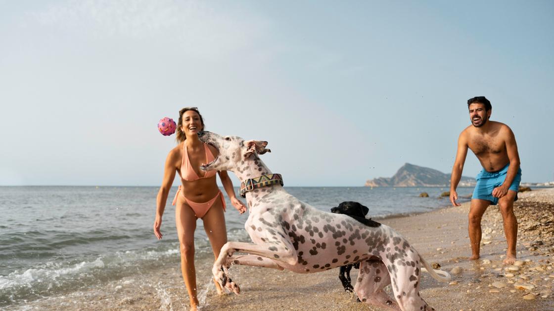 https://www.lanazione.it/image-service/view/acePublic/alias/contentid/YTU4YTBkNjMtZWRiMC00/0/vacanze-al-mare-con-il-proprio-amico-a-quattro-zampe.jpeg?f=16:9&w=1200&h=630