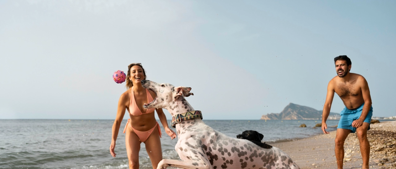 Spiagge accessibili ai cani: ecco quali sono in Toscana