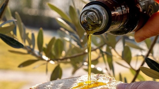Olio d'oliva toscano (Foto di repertorio) Olio d'oliva toscano (Foto di repertorio)