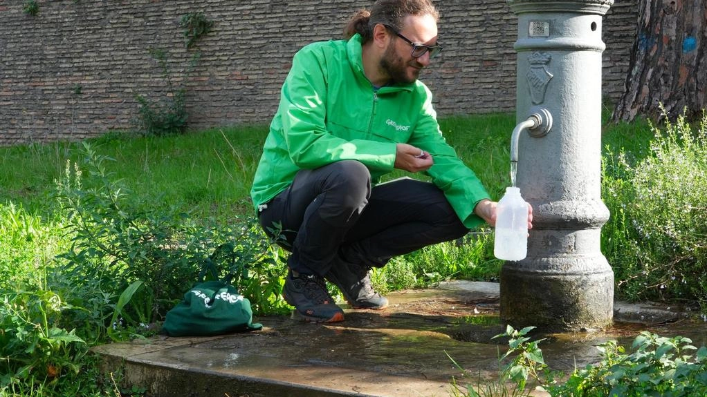 Greenpeace avrebbe effettuato rilevazioni a campione nell’autunno 2024 Greenpeace avrebbe effettuato rilevazioni a campione nell’autunno 2024
