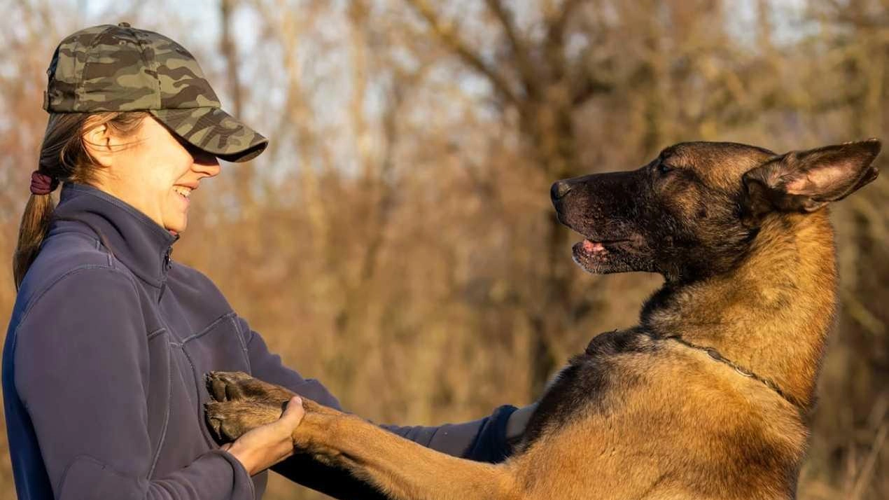 Il corso "Come curare al meglio i nostri pet" tenuto da Clarissa Catti, educatrice cinofila avanzata, affronta tematiche cruciali per la cura e gestione degli animali domestici. Appuntamenti a La Spezia dal 29 novembre. Contatti per iscrizioni. Il corso "Come curare al meglio i nostri pet" tenuto da Clarissa Catti, educatrice cinofila avanzata, affronta tematiche cruciali per la cura e gestione degli animali domestici. Appuntamenti a La Spezia dal 29 novembre. Contatti per iscrizioni.