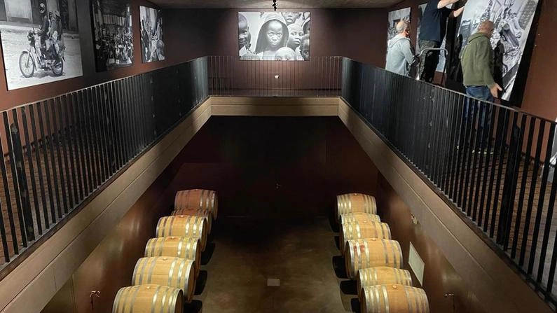 Alcune foto della mostra nella cantina