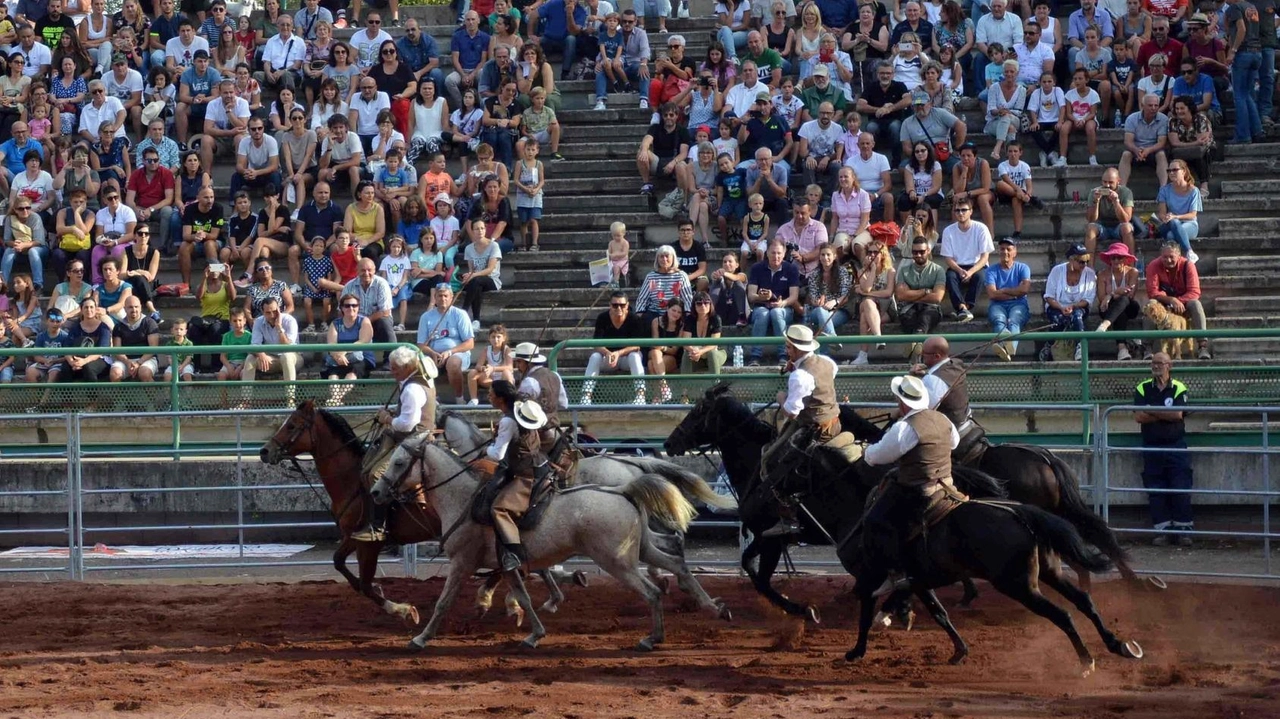 Una spettacolare esibizione durante la Mostra del Cavallo a Città di Castello Una spettacolare esibizione durante la Mostra del Cavallo a Città di Castello