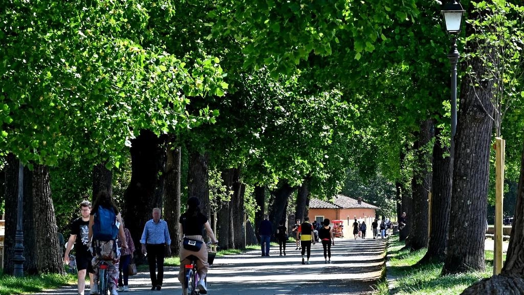La XXI Giornata Nazionale del Trekking Urbano a Lucca celebra la memoria e l'arte, guidando i partecipanti lungo le Mura e fino all'Orto botanico, esplorando la storia, la natura e la sostenibilità della città. Prenotazioni e info: tel. 0583 442213 - info@turismo.lucca.it. La XXI Giornata Nazionale del Trekking Urbano a Lucca celebra la memoria e l'arte, guidando i partecipanti lungo le Mura e fino all'Orto botanico, esplorando la storia, la natura e la sostenibilità della città. Prenotazioni e info: tel. 0583 442213 - info@turismo.lucca.it.