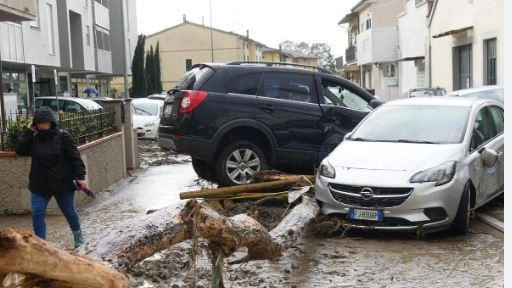 Il capogruppo di Fratelli d’Italia a Montemurlo da 100 giorni non ha risposte sull’accesso agli atti per i lavori al torrente. "Inaccettabile e fuori legge". Il capogruppo di Fratelli d’Italia a Montemurlo da 100 giorni non ha risposte sull’accesso agli atti per i lavori al torrente. "Inaccettabile e fuori legge".