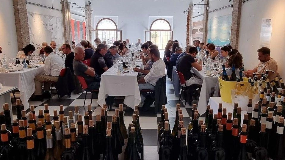 La terza edizione di «Sfumature di Ansonica» si svolgerà domenica (con eventi aperti a tutti) e lunedì (con eventi riservati agli operatori del settore) La terza edizione di «Sfumature di Ansonica» si svolgerà domenica (con eventi aperti a tutti) e lunedì (con eventi riservati agli operatori del settore)