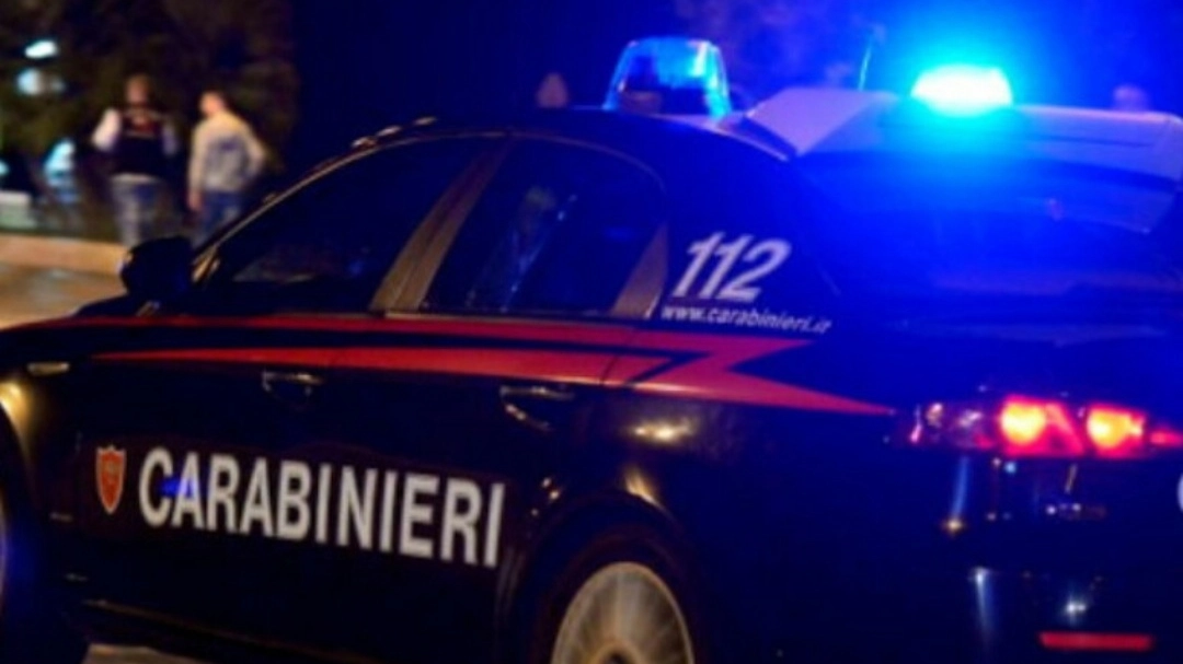 Carabinieri (immagine di repertorio da Ansa) Carabinieri (immagine di repertorio da Ansa)