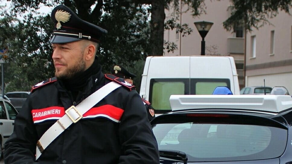 Il racconto sui social e i tanti commenti. Il caso spiegato sulla pagina facebook "Sei di Pisa se" è quello... Il racconto sui social e i tanti commenti. Il caso spiegato sulla pagina facebook "Sei di Pisa se" è quello...