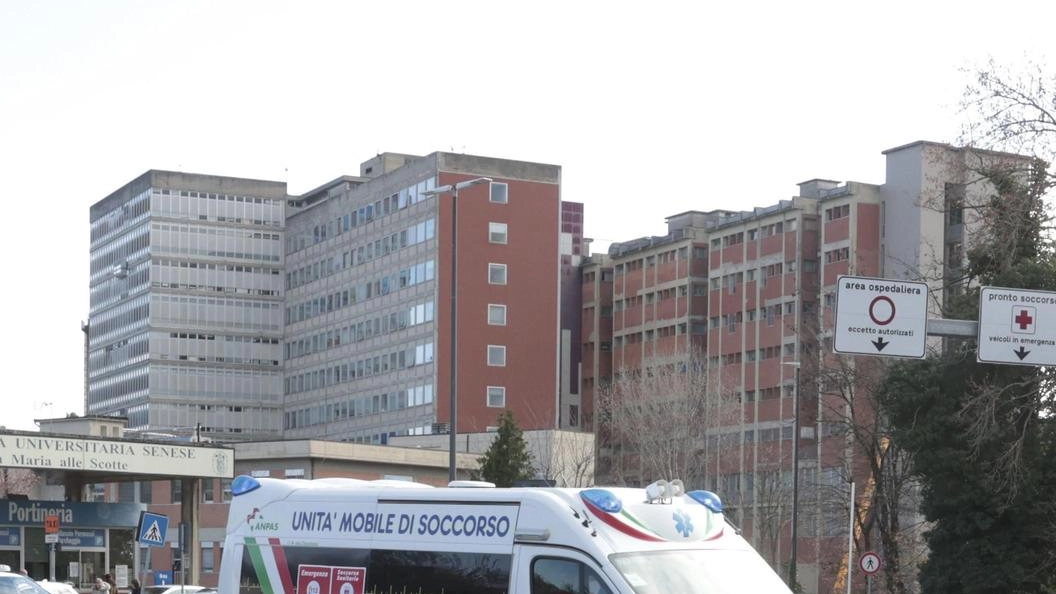 Il pm: "Tutto ruota intorno al mancato rispetto del rapporto di esclusività". L’avvocato Frignani (Aous): "Visite ai pazienti fuori dal policlinico". "Difendo una persona perbene, la sua attività un vanto", tuona Gamberini. Il pm: "Tutto ruota intorno al mancato rispetto del rapporto di esclusività". L’avvocato Frignani (Aous): "Visite ai pazienti fuori dal policlinico". "Difendo una persona perbene, la sua attività un vanto", tuona Gamberini.