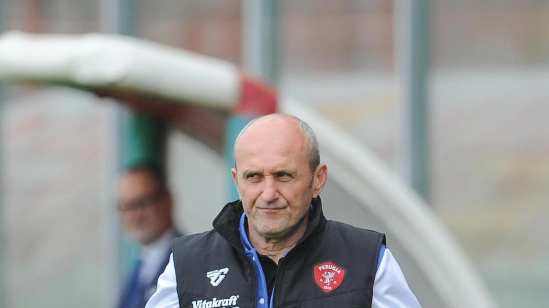L’allenatore del Perugia Vincenzo Cangelosi L’allenatore del Perugia Vincenzo Cangelosi