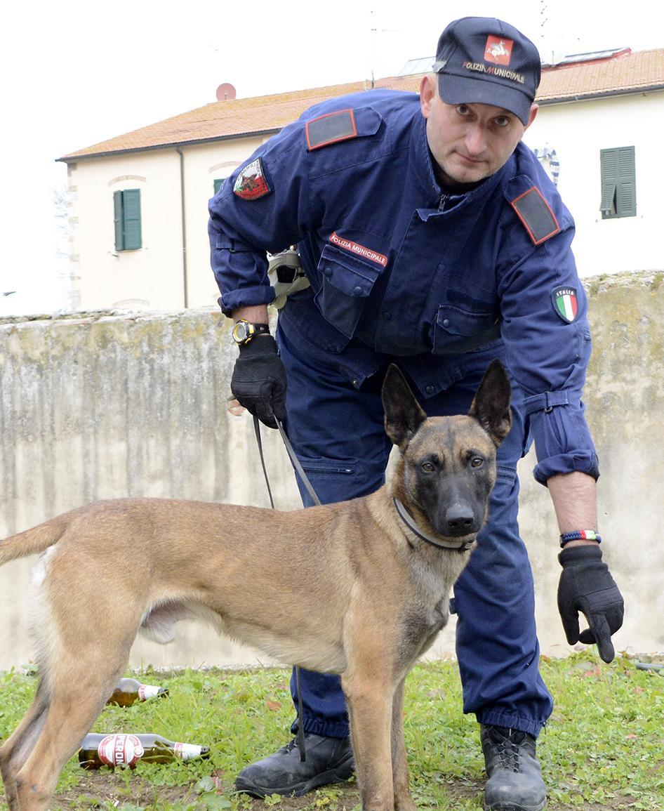 droga e rapina al maury8217s scatta l8217arresto