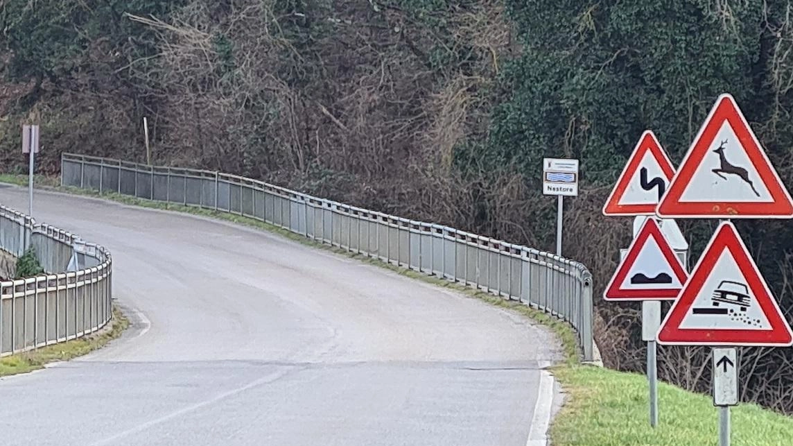 Lavori stradali a Piegaro: due ordinanze della Provincia modificano il traffico per consentire interventi di manutenzione. Disagi minimizzati con orari mirati. Lavori stradali a Piegaro: due ordinanze della Provincia modificano il traffico per consentire interventi di manutenzione. Disagi minimizzati con orari mirati.