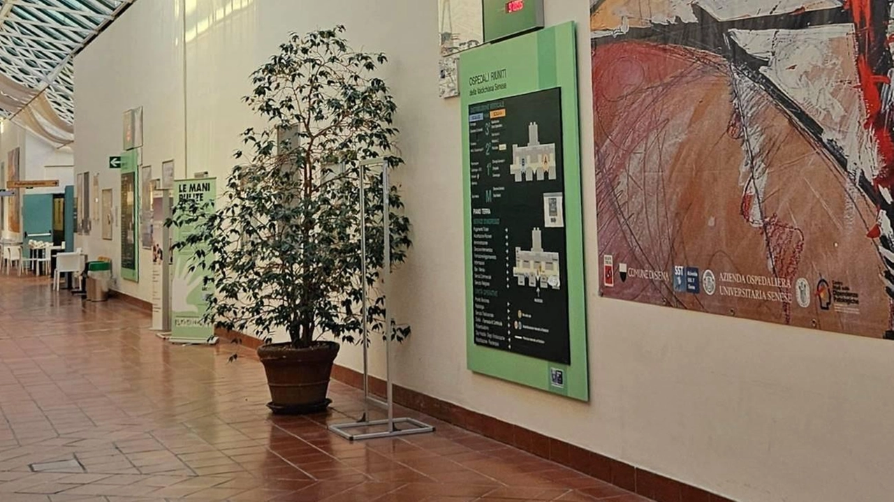 L’ospedale di Nottola L’ospedale di Nottola
