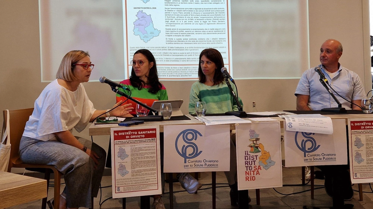 Il Comitato per la salute pubblica Il Comitato per la salute pubblica