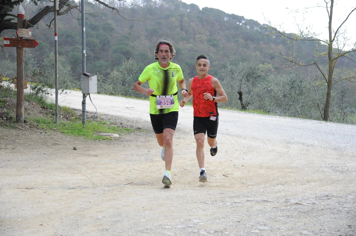 immagine di sfondo 13