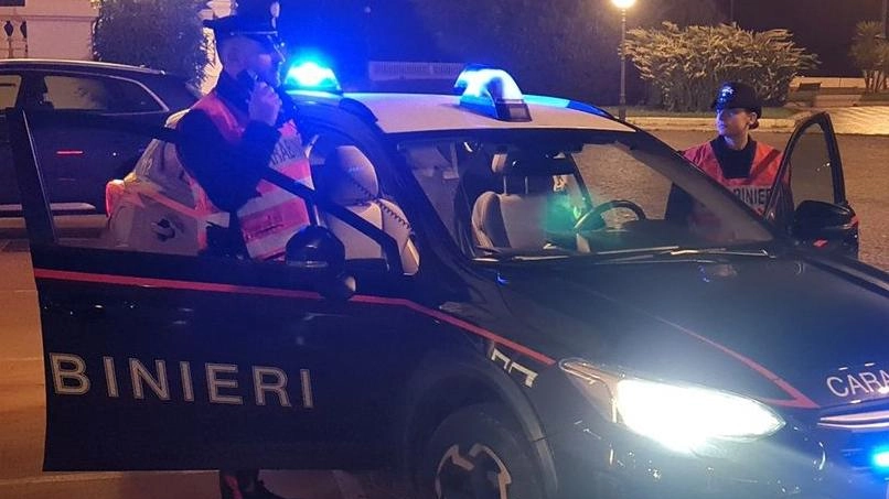 Sul caso indagano i carabinieri. Fondamentali saranno le telecamere che potrebbero inchiodare l’auto del pirata della strada. Il sindaco ha lanciato un appello (foto d’archivio) Sul caso indagano i carabinieri. Fondamentali saranno le telecamere che potrebbero inchiodare l’auto del pirata della strada. Il sindaco ha lanciato un appello (foto d’archivio)