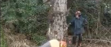 25 aprile, le inziative dell'Ecomuseo del Casentino per ricordare la Resistenza
