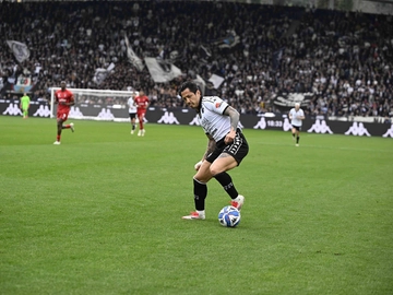 immagine articolo