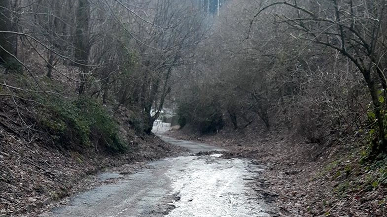 A Pracchia, la signora Emanuela Ferrali protesta per la pericolosità di via della Casetta a causa della mancanza di manutenzione. Chiede interventi urgenti al Comune di Pistoia per garantire la sicurezza degli abitanti, soprattutto di chi ha patologie. A Pracchia, la signora Emanuela Ferrali protesta per la pericolosità di via della Casetta a causa della mancanza di manutenzione. Chiede interventi urgenti al Comune di Pistoia per garantire la sicurezza degli abitanti, soprattutto di chi ha patologie.