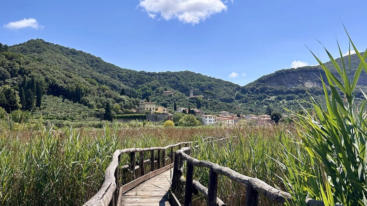 Uno scorcio dell’oasi Lipu a Massaciuccoli dove oggi è in programma l’iniziativa promossa dai «Musei del Sorriso» Uno scorcio dell’oasi Lipu a Massaciuccoli dove oggi è in programma l’iniziativa promossa dai «Musei del Sorriso»